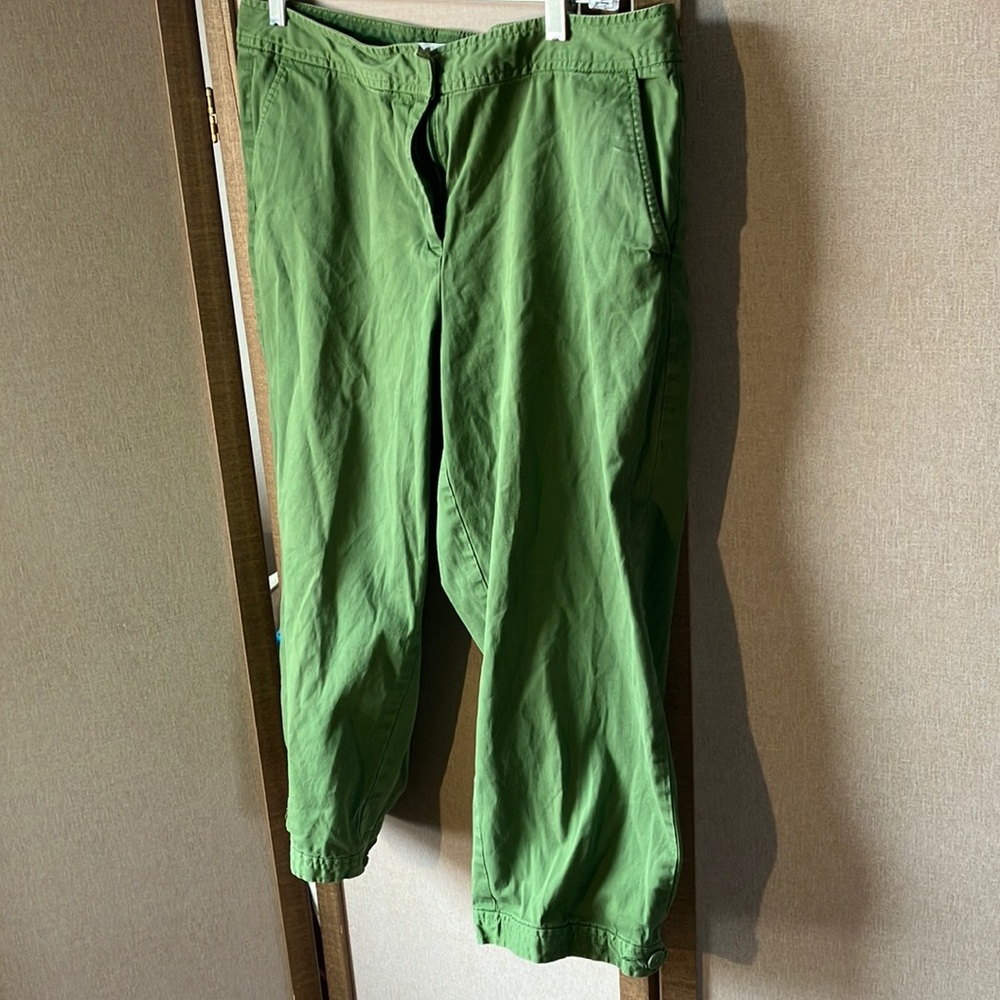 FINAL MARKDOWN Talbots Vibrant Green Capris 12
